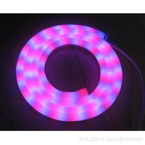 Waterproof Wholesale LED Lights 12V Neon Light-04